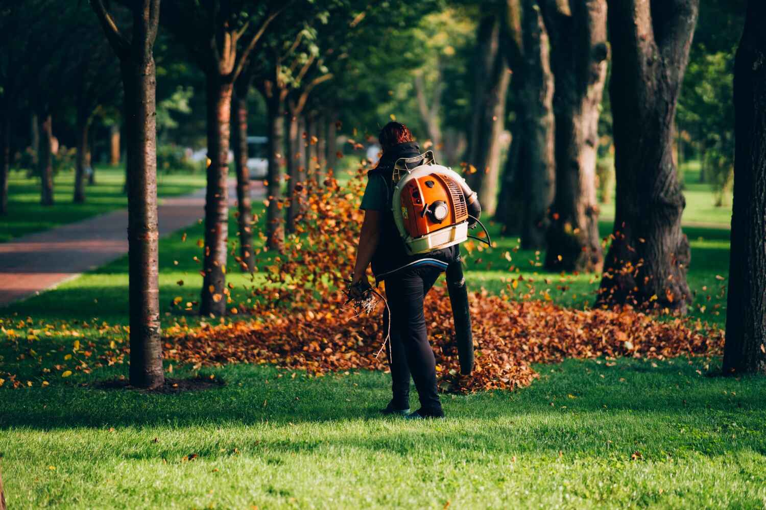 Best Residential Tree Removal  in USA